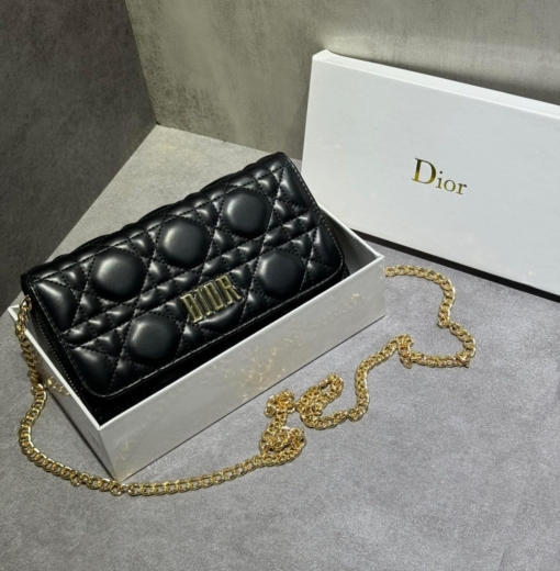 Túi Dior Woc Caro Black Bag Original