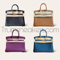 Túi Hermes Birkin 25 Togo With Silver Hardware