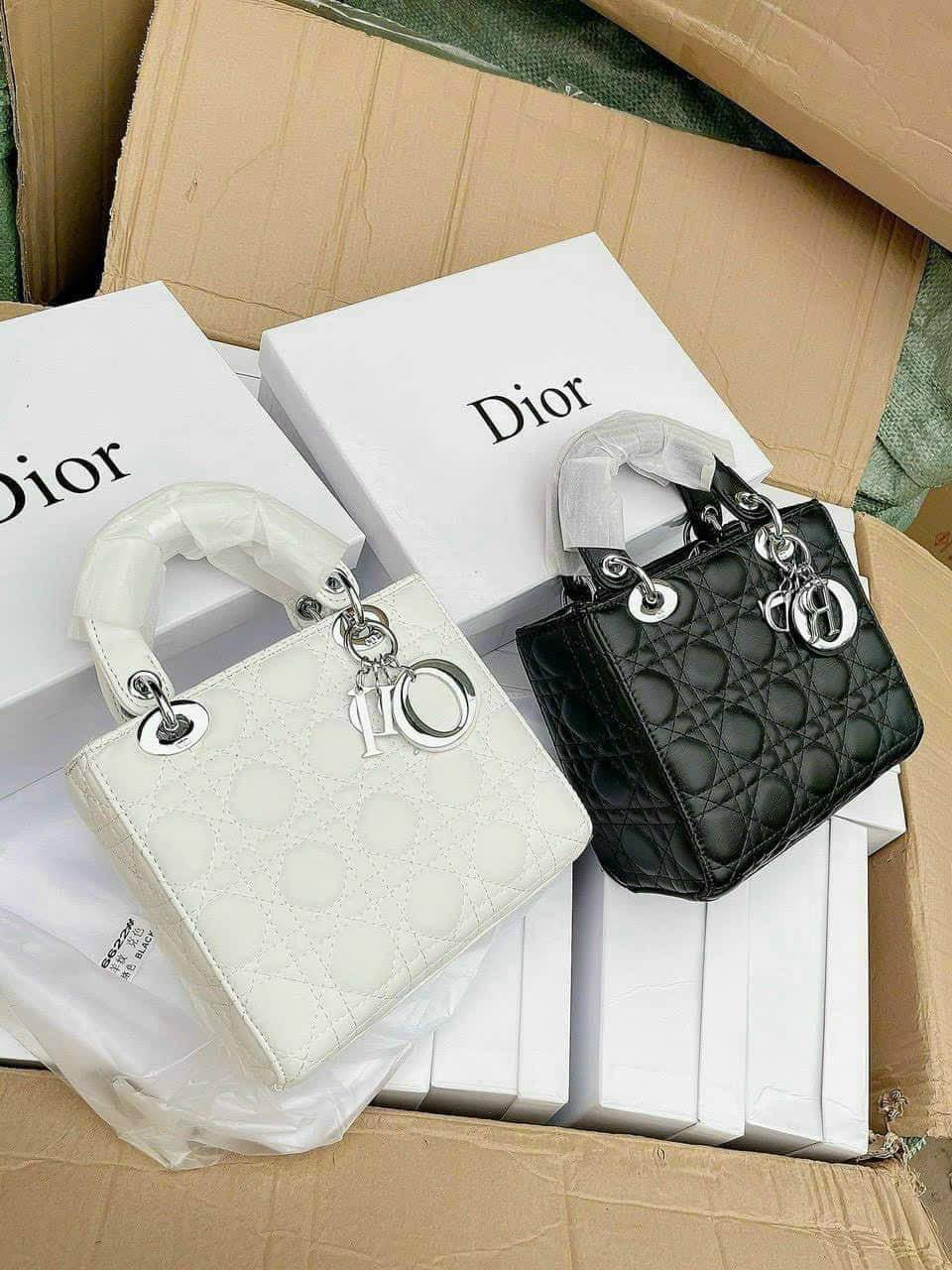 Túi Christian Dior Lady Mini Bag Metallic Leather 2 Túi Xách Nữ Dior Lady Size 20 Trắng Đen Logo Bạc
