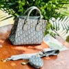 Túi Xách Tay Đeo Dior Họa Tiết Size 19 Xám Đen 8 Túi Xách Tay Đeo Chéo Dior Xám
