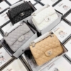 Túi Xách Chanel Classic Trắng Đen Kem Xám 9 Túi Chanel Classic Mini Flap 4 Màu