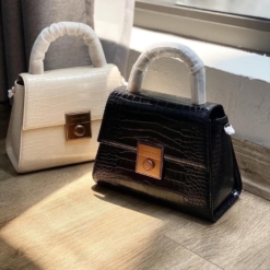 Túi Xách Tay Charles & Keith CNK Size 22 Khóa Gạt