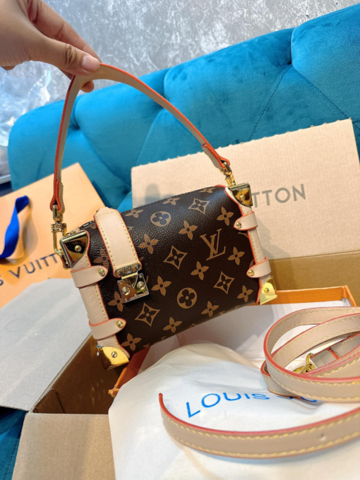 Túi Louis Vuitton LV Side Trunk PM Bag Brown