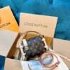 Túi Xách Tay Louis Vuitton LV Side Trunk Màu Nâu