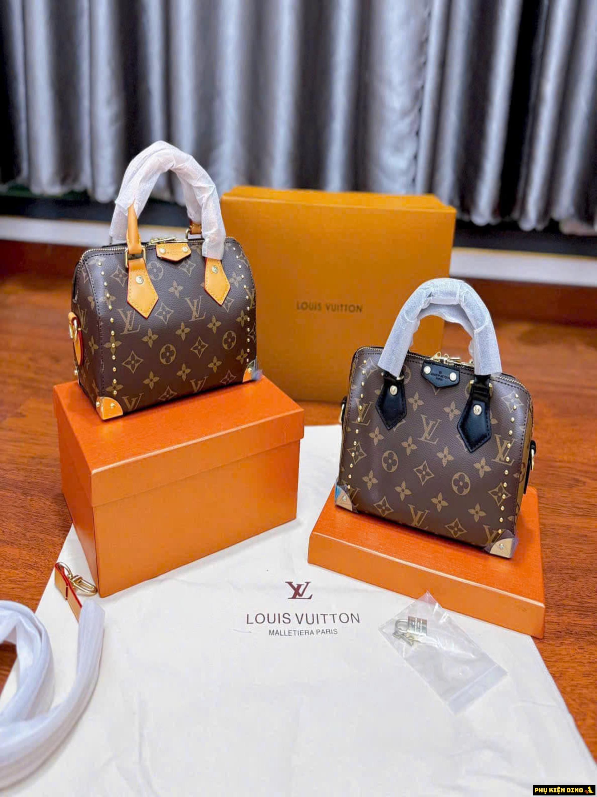 Túi Xách Nữ Louis Vuitton LV Speedy Trunk 20 M13146 2 Túi Xách Nữ Louis Vuitton LV Speedy Trunk 20
