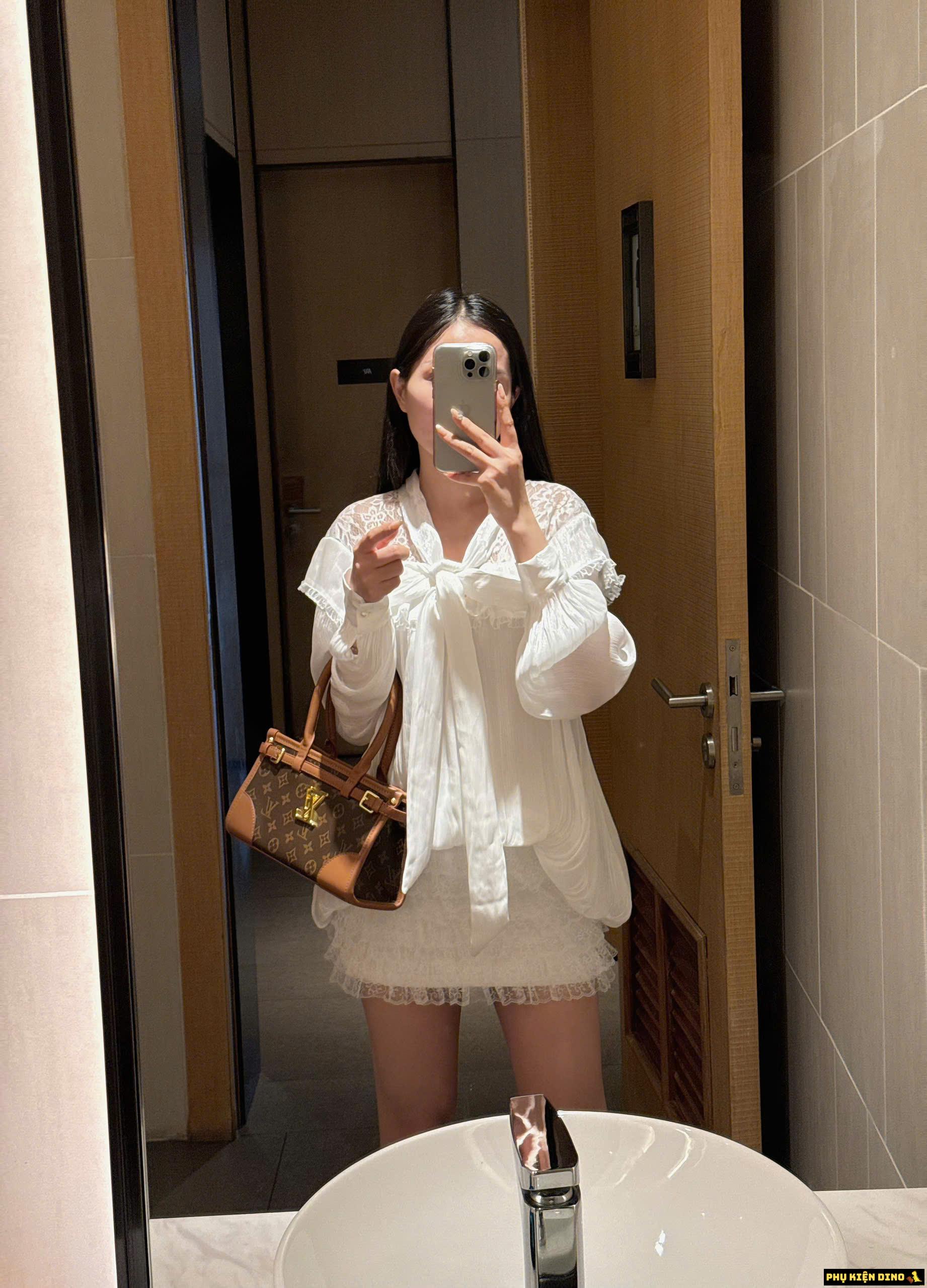 Túi Xách Nữ Đeo Vai Gucci LV Louis Vuitton Nâu 2 Túi LV Louis Vuitton Brown Nâu