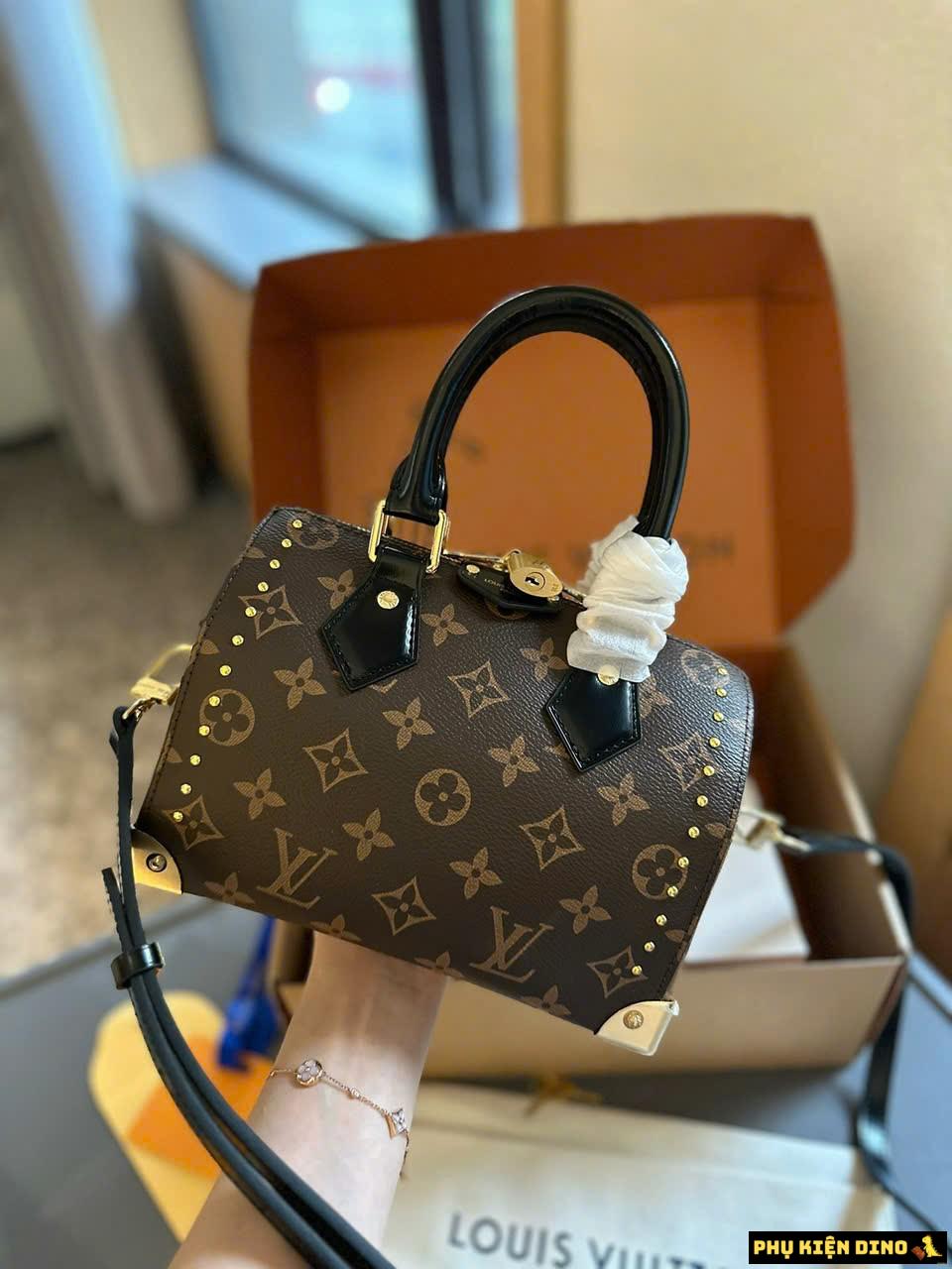 Túi Louis Vuitton LV Speedy Trunk 20 Brown Bag M13146 2 Túi Louis Vuitton LV Speedy Trunk 20 Brown Bag