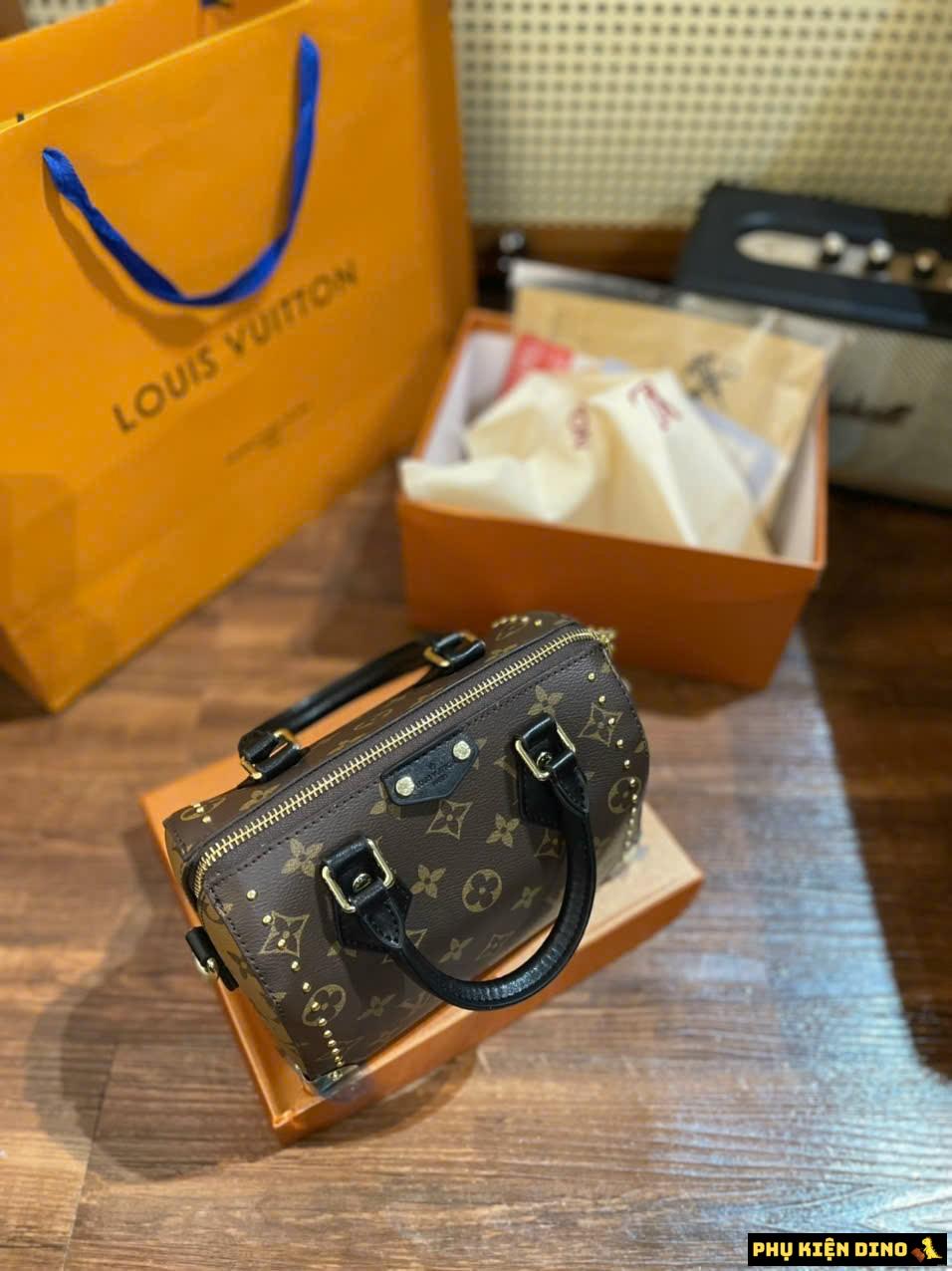 Túi Louis Vuitton LV Speedy Trunk 20 Brown Bag M13146 4 Túi Louis Vuitton Trống Speedy Trunk Size 20