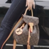 Balo Nữ Louis Vuitton Montsouris BB Monogram Canvas Pink Brown