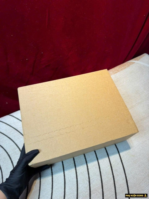 Túi Xách Nữ LV Loop White Box Bảo Vệ