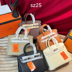 Túi Hermes Birkin Size 25 Togo Gris Pantin