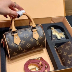Túi Louis Vuitton LV Nano Speedy Handbag Brown Size 17 Fullbox