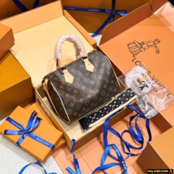 Phụ Kiện Dino - Túi Xách Luxyry 15 Túi Louis Vuitton LV Speedy Bandouliere Size 25 Fullbox