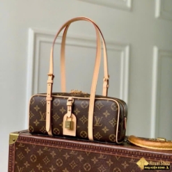 Túi Louis Vuitton Hang On Nâu Monogram