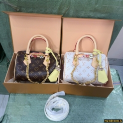 Túi Louis Vuitton LV Speedy Nano Size 20 Brown White Fullbox